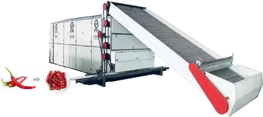 vegetable continuous mesh belt dryer